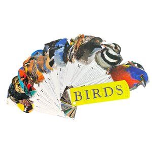 Fandex Family Field Guide Wild Birds Of North America By Workman Publishing